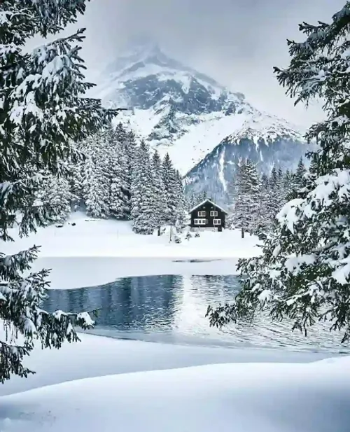 طبیعت زمستان زیبا !