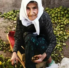 اینم یه ضرب المثل گیلکی...