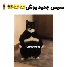 😂😂😂گوگولی