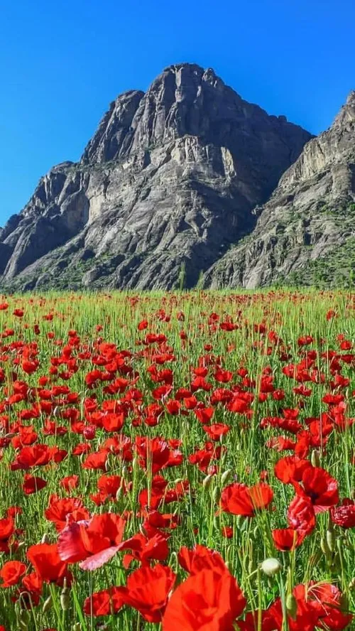 ایران زیبا مخملکوه لرستان