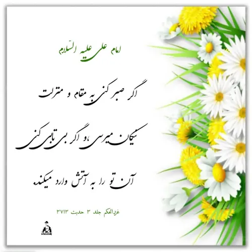 امام علی (ع) فرمودند :