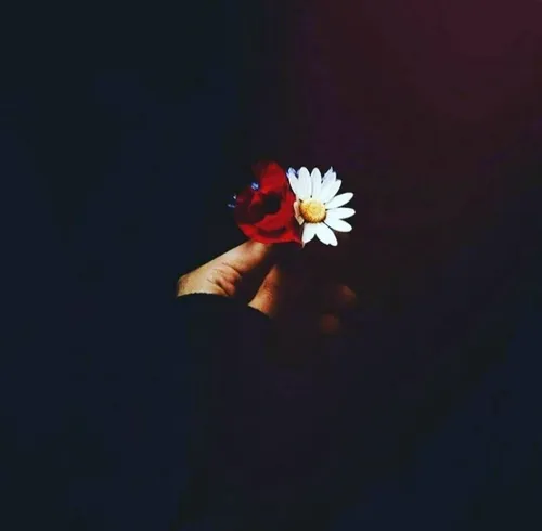 "ثمَّة أشياء جميلة تختبئ في تفاصيل الأيام." 🌼 ✨