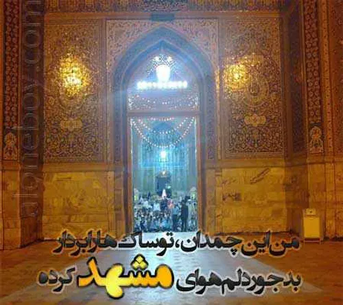 یا امام رضا دلم خیلی تنگه برای دیدنت