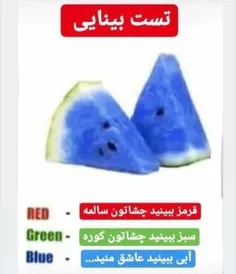 همه بگن