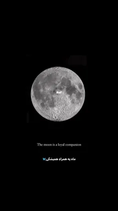 "تو ماه من بودی؛ همان قدر زیبا و همان 
قدر دور از من"