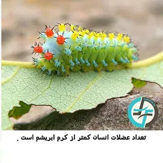 #sciencedaily #nature#naturefarsifacts #طبیعت