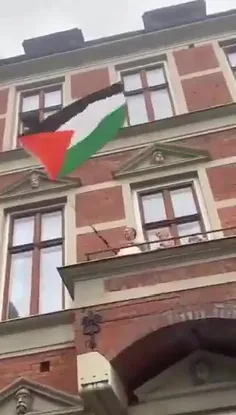 🇵🇸#فوری پادشاه دانمارک پرچم فلسطین را بر بالکن اقامتگاهش 