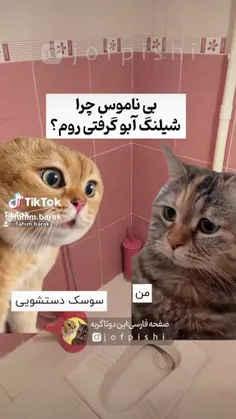 سوسک بالدار چرا نمردی💩👺