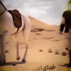 خدای ادب🤚