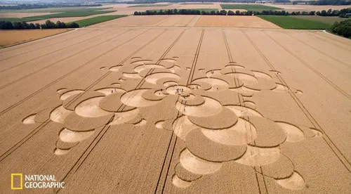 هنرنمایی یک مزرعه دار خوش سلیقه/ مونیخ آلمان