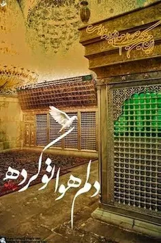 بسم رب الحسین
