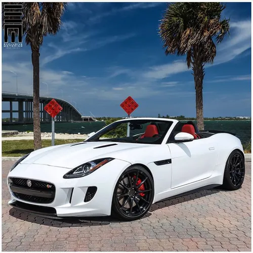 Jaguar-F Type