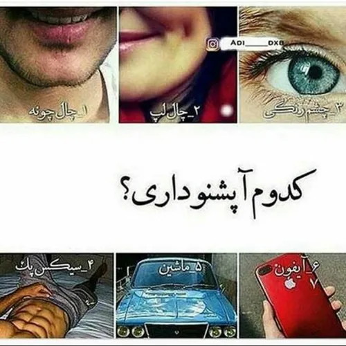 کدوم اپشنو داری؟