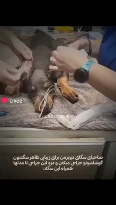 چقدر قشنگ ❤️