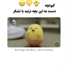 بدین من ببرمش ... 🐥💛