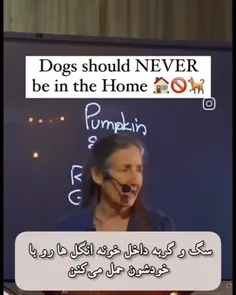 ❌سگ و گربه نباید داخل خونه باشن، چون با خودشون انگل حمل م