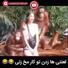 لعنتی ها زدن تو کار مخ زنی😆😅