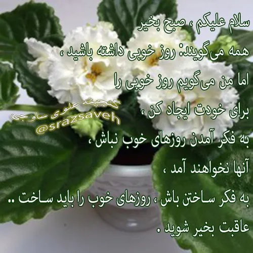 سلام علیکم ، صبح بخیر