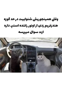 حقققق