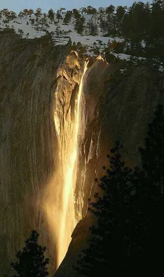 آبشار طلایی کالیفرنیا که همه ساله چند روز ماه فوریه که زا