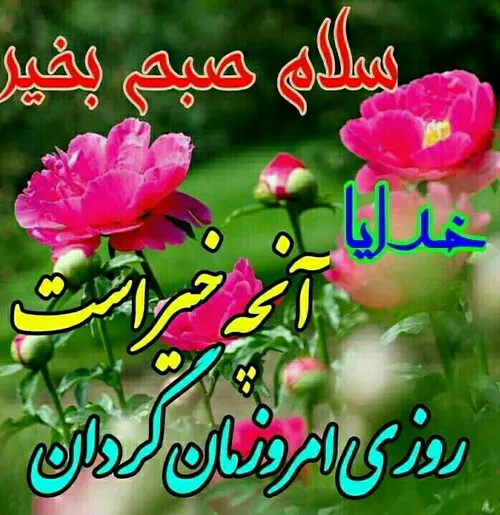  shirazish 55438014 - عکس ویسگون