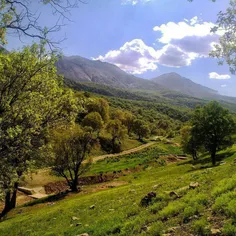 آب و هوای ایران کاملا وابسته به زاگرس و جنگل‌های بلوط آن 