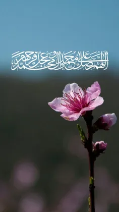 صلوات امروز را اغاز میکنیم💕💞💗🌸