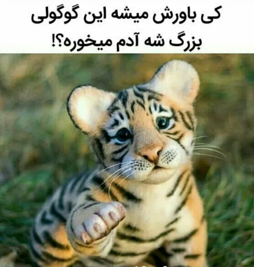 کی باورش میشه؟!😍 😢