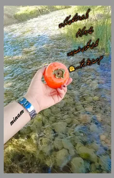 اگر امروز تنها #کاری که کردی