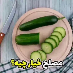 مصلح خیار چیه