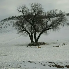 کوه ها در فاصله سردند...!