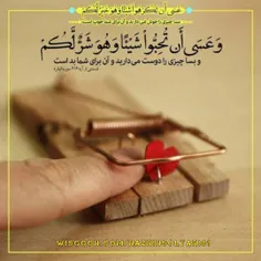 شهر رمضان الذی انزل فیه القرآن 