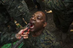 یک سرباز آمریکایی شانس این را دارد تا با خوردن خون مار کب