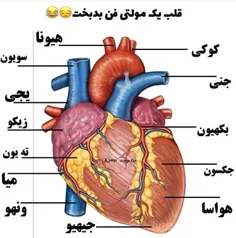 منم یه مولتی فنم😔