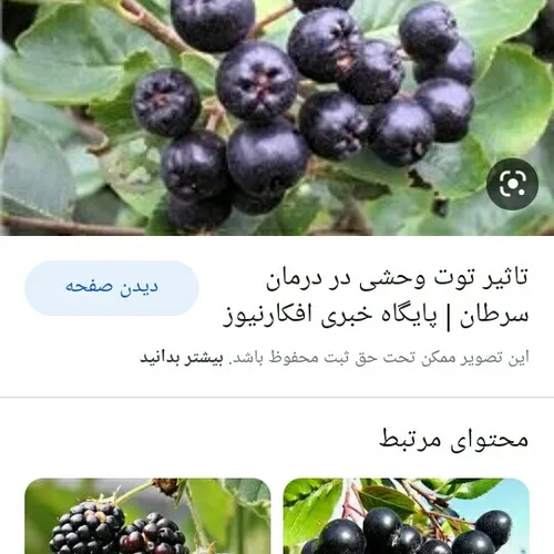  09103896419 46212056 - عکس ویسگون