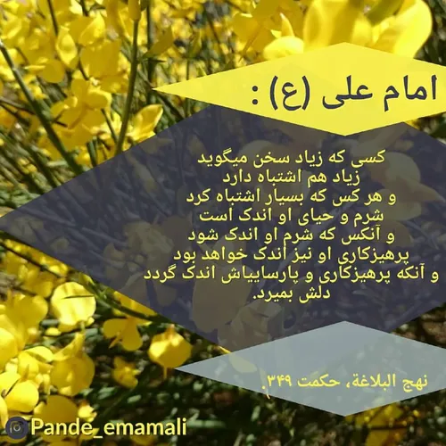 💠امام علی(ع)میفرمایند: