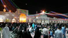 ما را کبوترانه وفادار کرده است