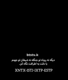 XNTX-ISTJ-IXTP-ESTP