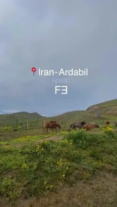 ایران اردبیل