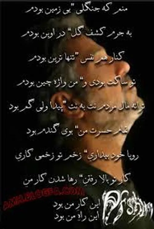 هنرمندان ایرانی aflatoonfff 25261488 - عکس ویسگون
