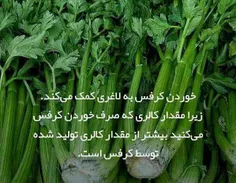 کرفس معجزه ای برای قد بلندی