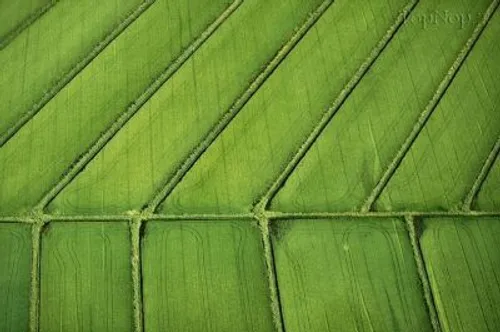 عکس های هوایی از مزارع کشاورزی (8)