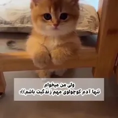 میزاری😊🫰🏻🍡