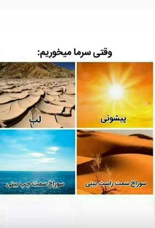 حق ترم مگه هست.. 😂😂😥