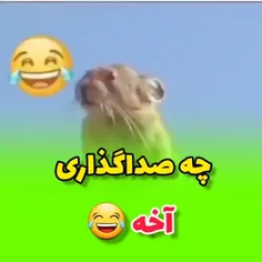 کی‌چایی‌میخواد😅😅😅