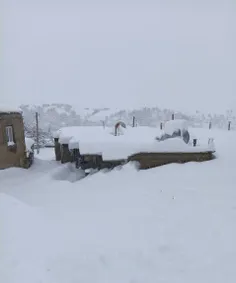 📸 خانه‌هایی که در زیر برف سنگین دفن شدند | بانه، استان کر