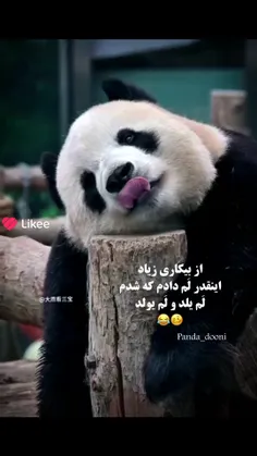 اره والاااا😂💔