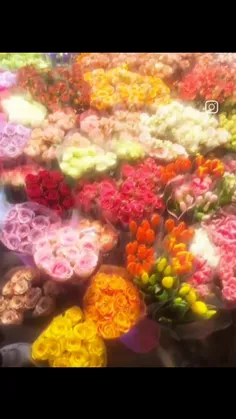 مثل این گلا خوشگلی 🫠🫠