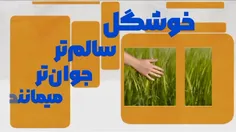 🍎 روزه گرفتن سبب زیبایی و جوانی
