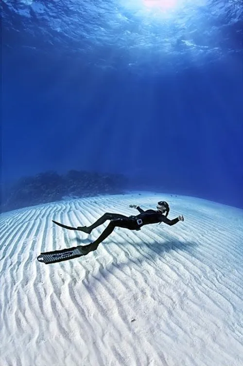 غواصی diving